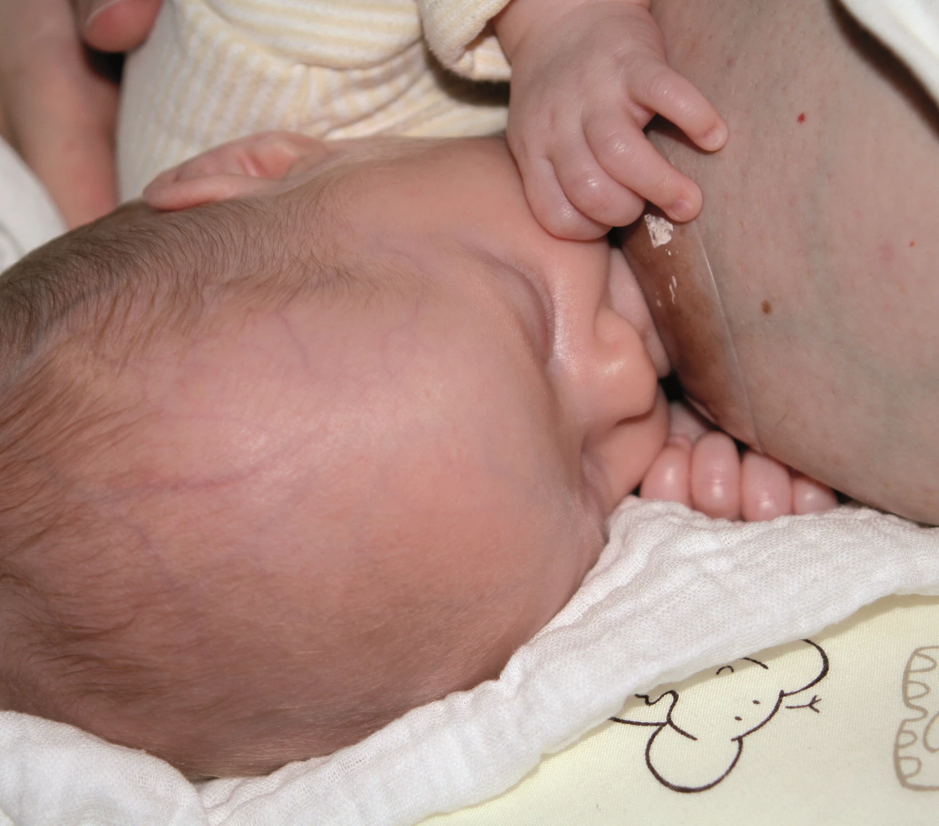 The child is fed by breast