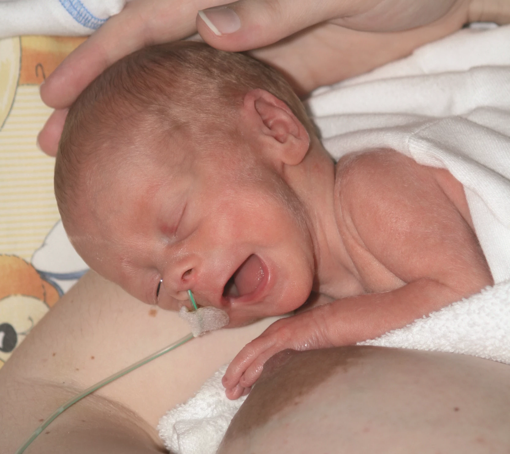 Child close to breast with open mouth. Sign of wanting to suckle