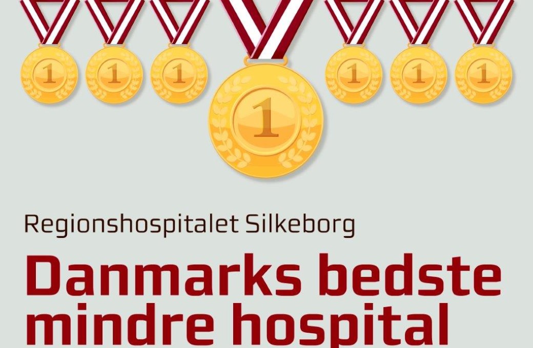 DBH Silkeborg.jpg